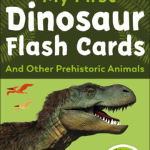My First Dinosaur Flash Cards